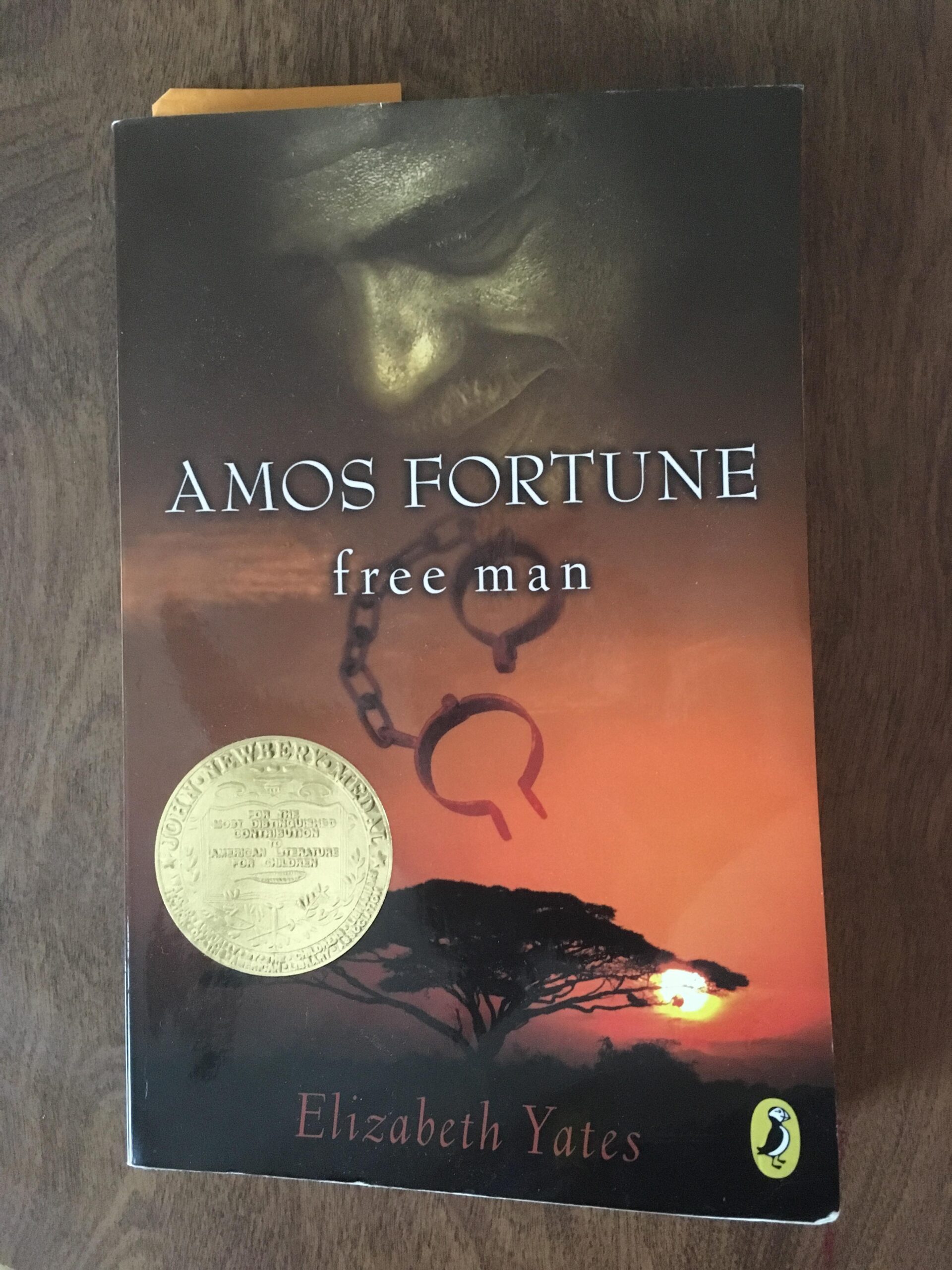 Book Review: Amos Fortune: Free Man