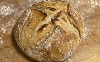 A Sourdough Loaf of Lies and a Journey Towards Food Independence